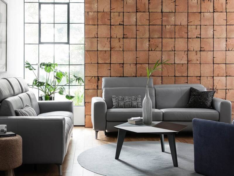 cassi-leather sofa