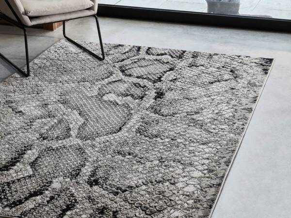 Asiatic rugs, Quantam, Julian Foye