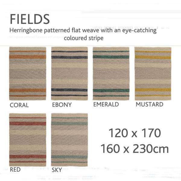 Asiatic Fields rugs at Julian Foye