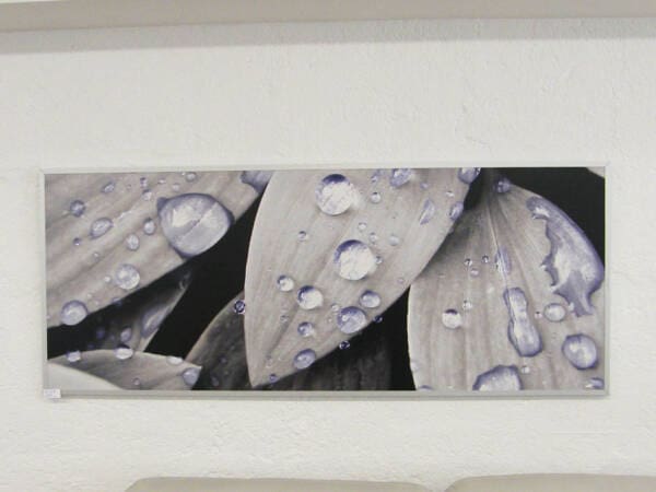 Wet Leaves Print