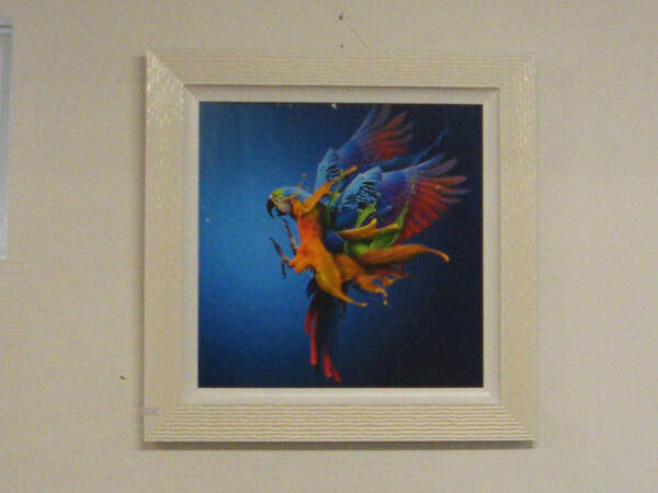 Parrot Print