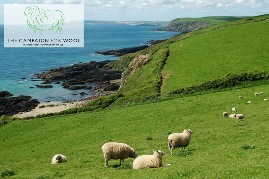 The Campaign for Wool