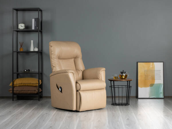 Ekornes Abbot Riser Recliner