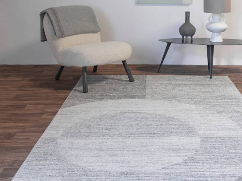 Muse grey halo rug in a living room
