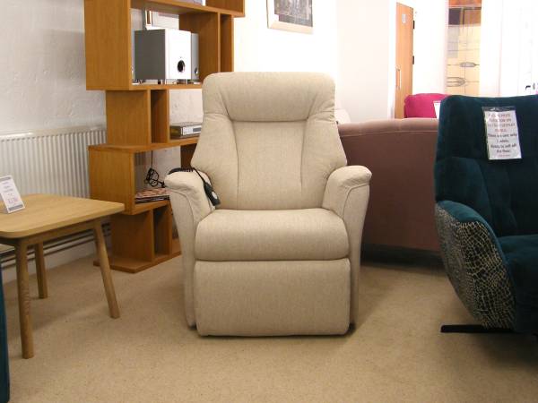 Abbot Fabric Riser Recliner