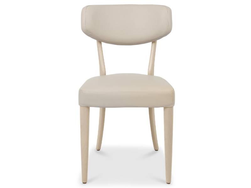 Luca dining chair on white background