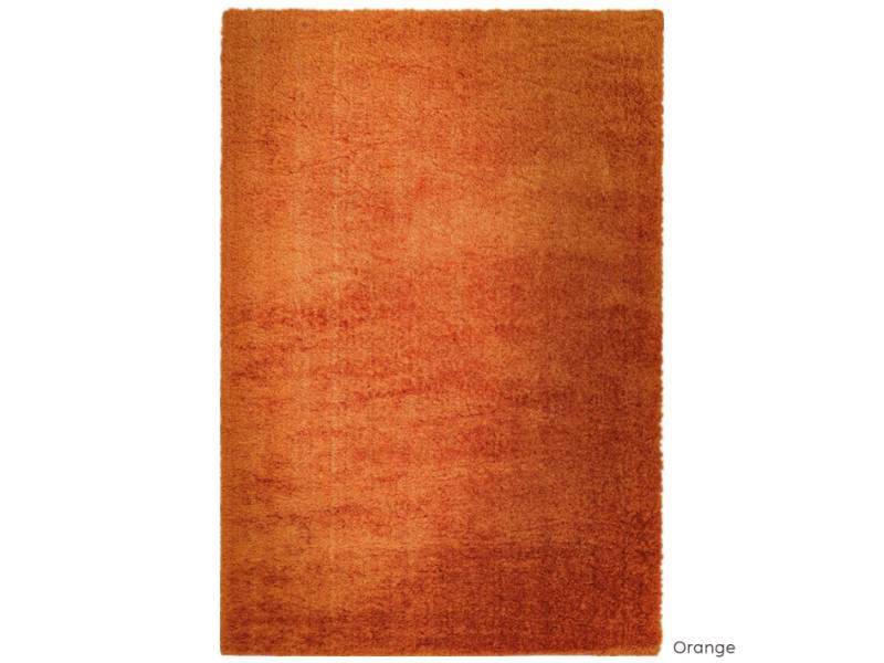 Payton Orange rug