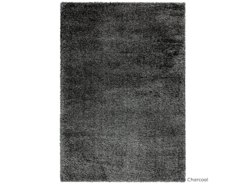 Payton Charcoal rug