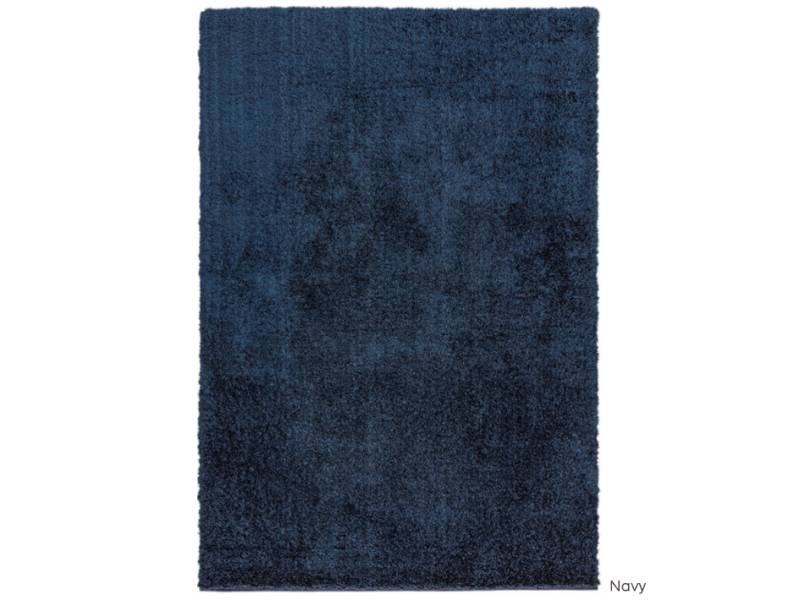 Payton navy rug