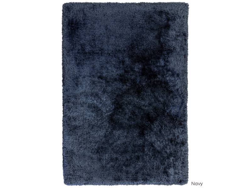 Plush navy rug